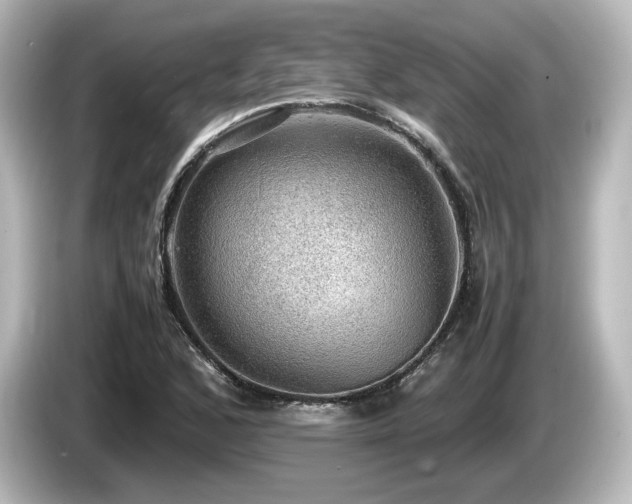 X0000085741168200703161021