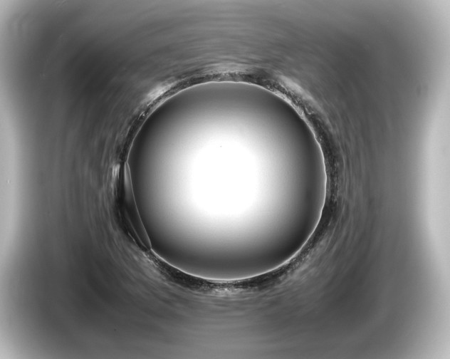 X0000085741169200703161021