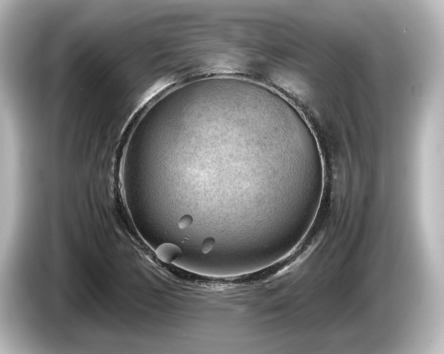 X0000085741170200703161021