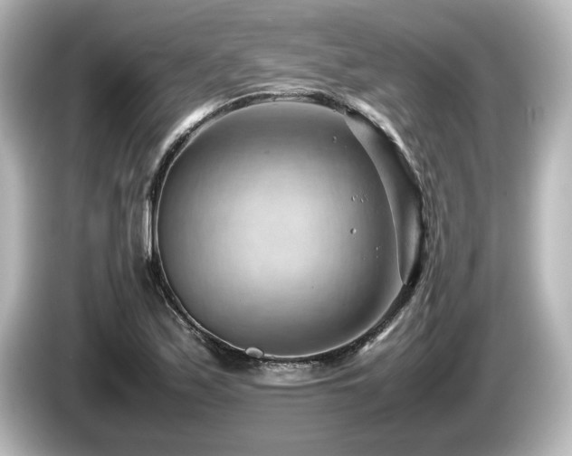 X0000085741171200703161021