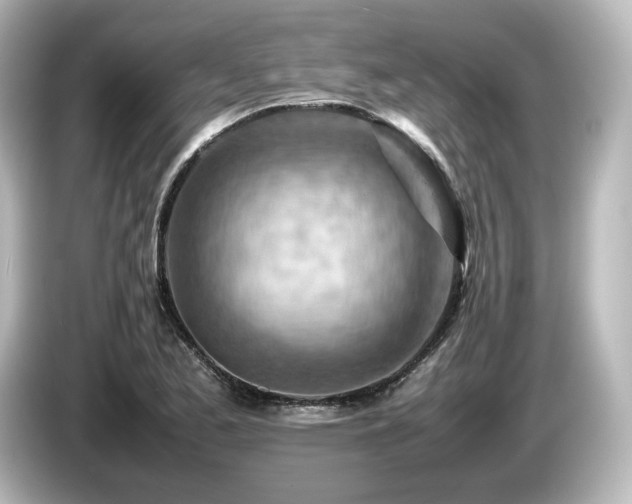 X0000085741173200703161021