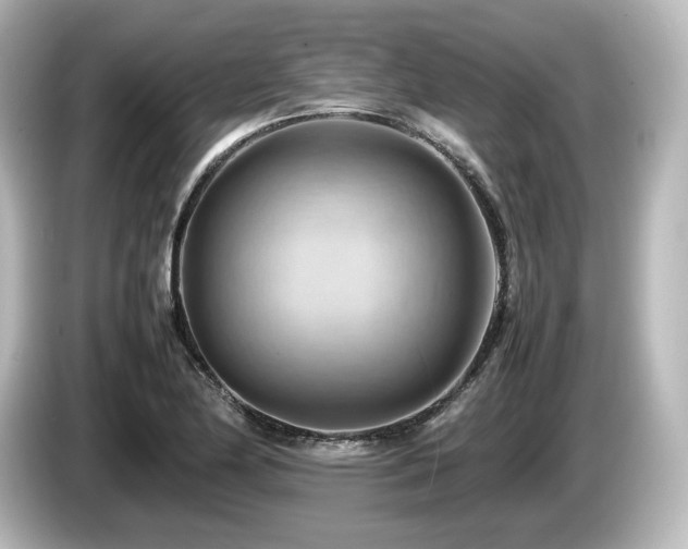 X0000085741174200703161021