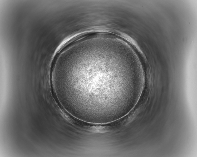 X0000085741176200703161021