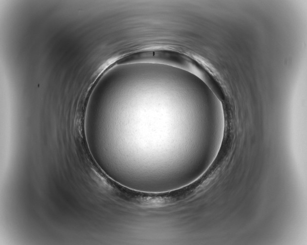 X0000085741177200703161021
