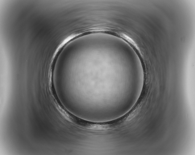 X0000085741179200703161021