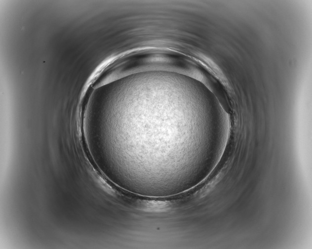 X0000085741180200703161021