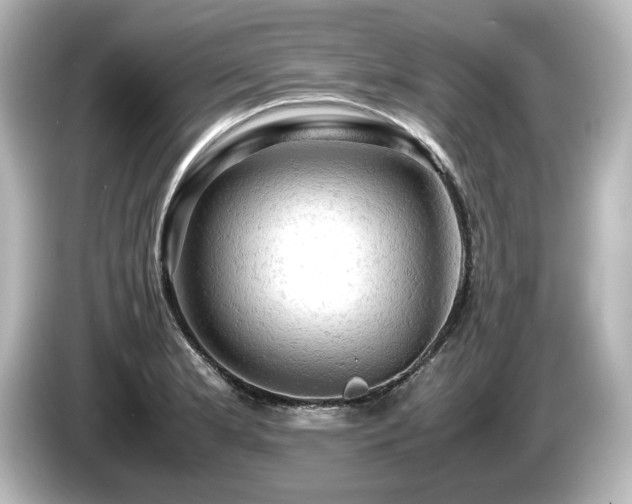 X0000085741181200703161021