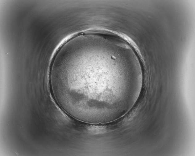 X0000085741183200703161021