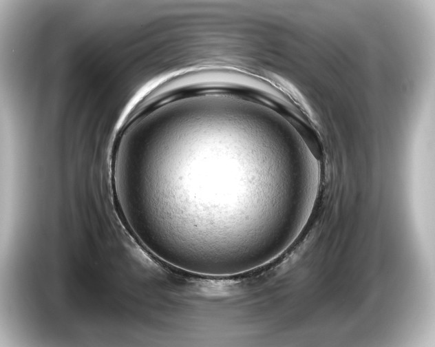 X0000085741184200703161021