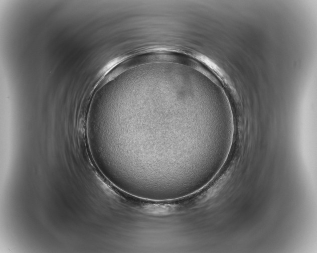 X0000085741185200703161021