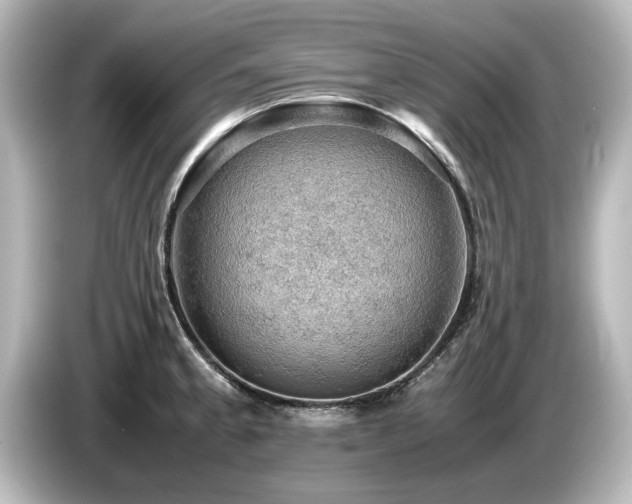 X0000085741189200703161021