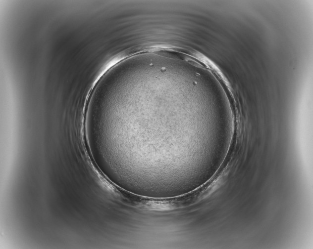 X0000085741194200703161021