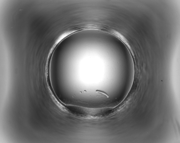 X0000085741195200703161021