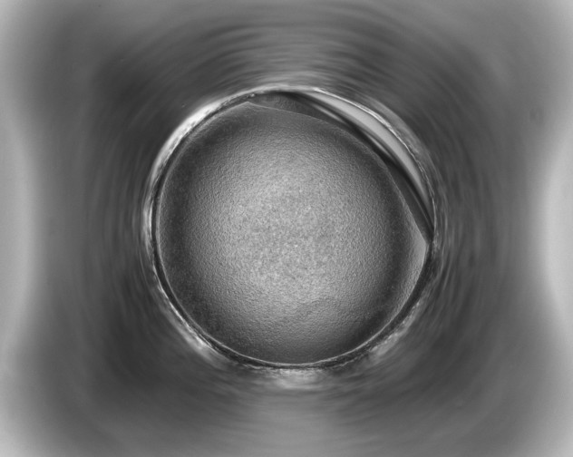 X0000085741196200703161021