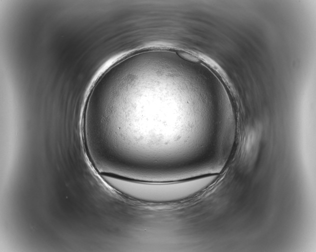 X0000085741199200703161021