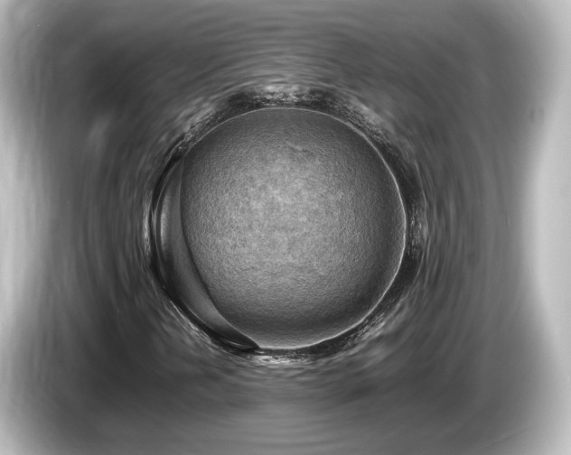 X0000085741202200703161020