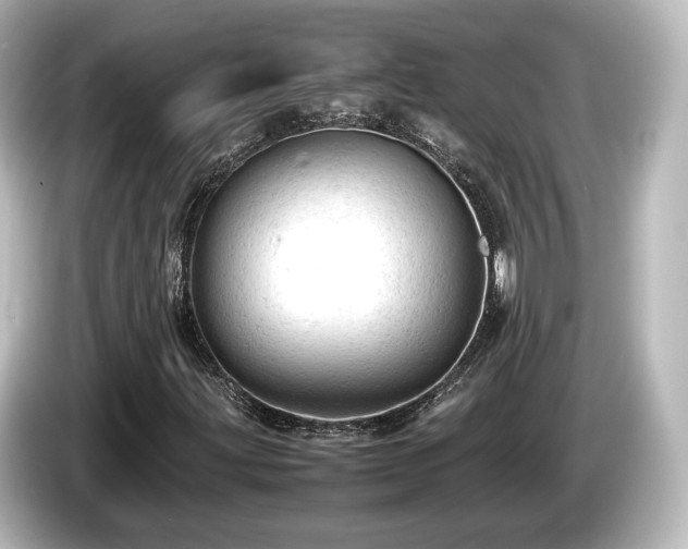 X0000085741203200703161020