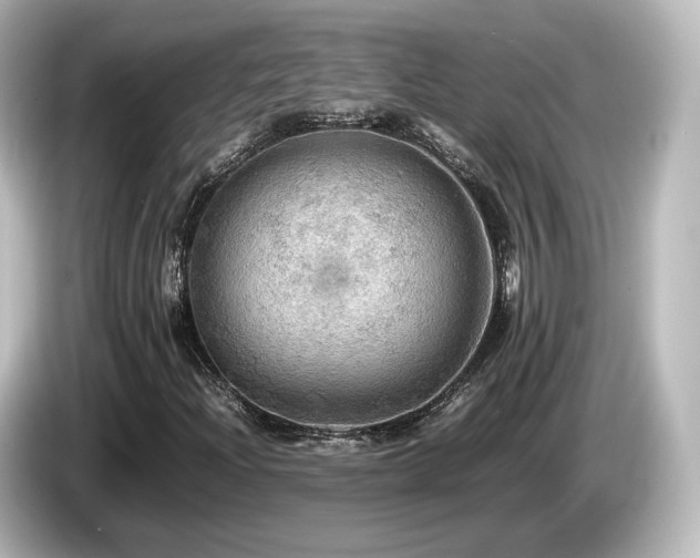 X0000085741204200703161020