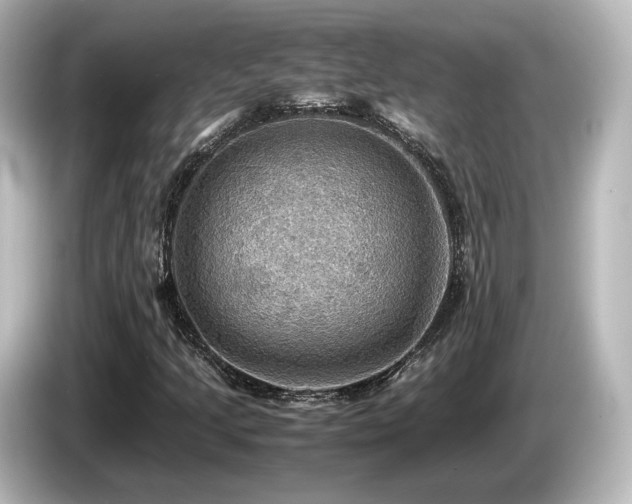 X0000085741205200703161020