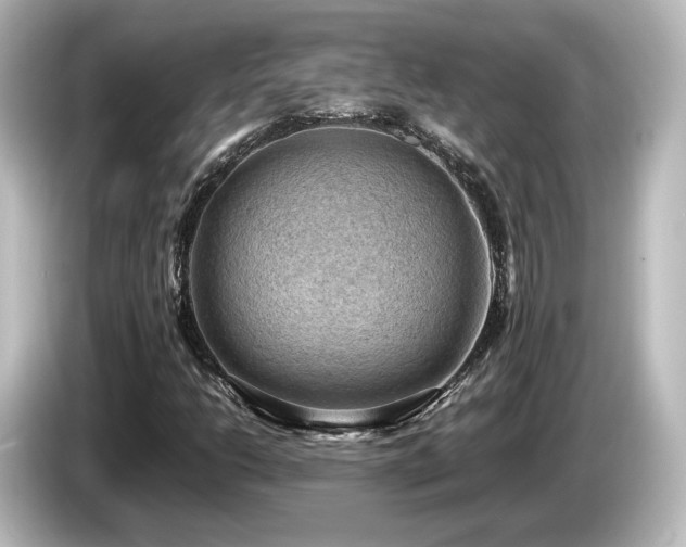 X0000085741206200703161020