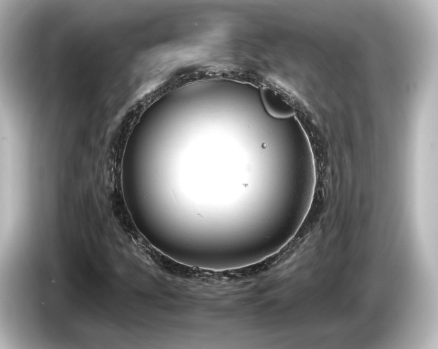 X0000085741207200703161020
