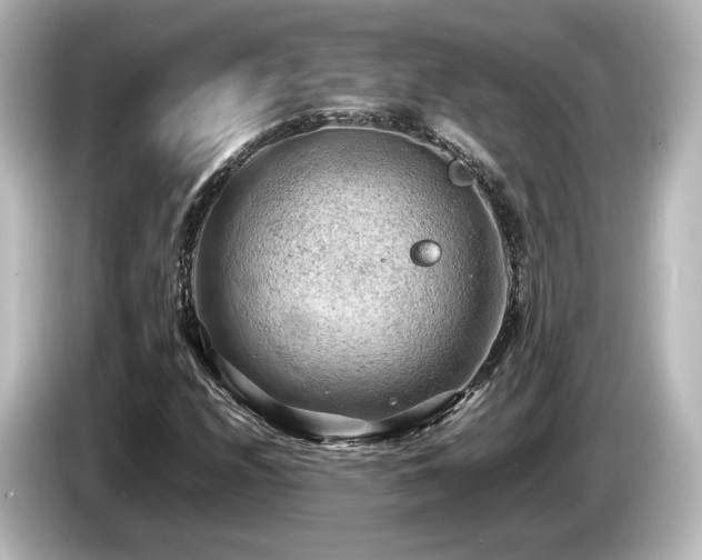 X0000085741208200703161020