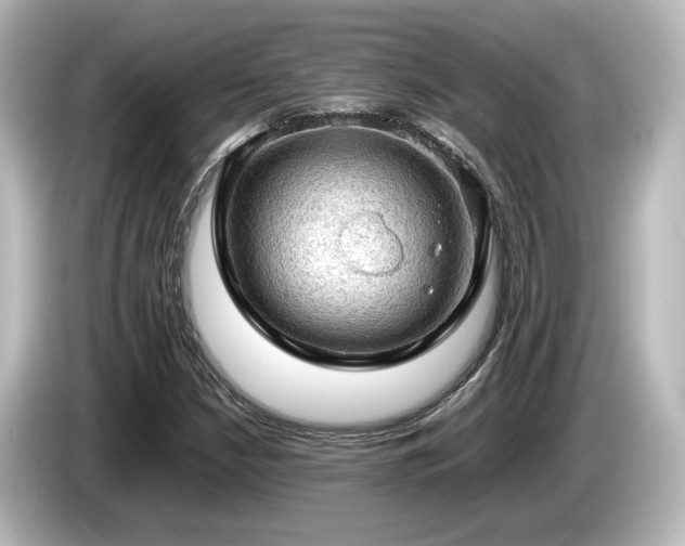 X0000085741210200703161020