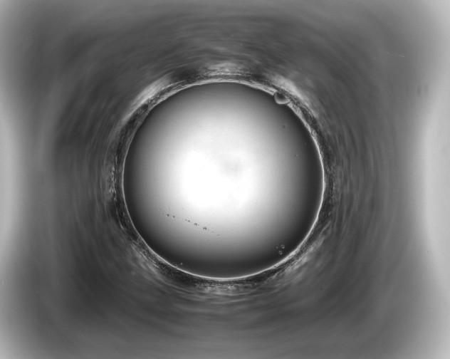 X0000085741211200703161020