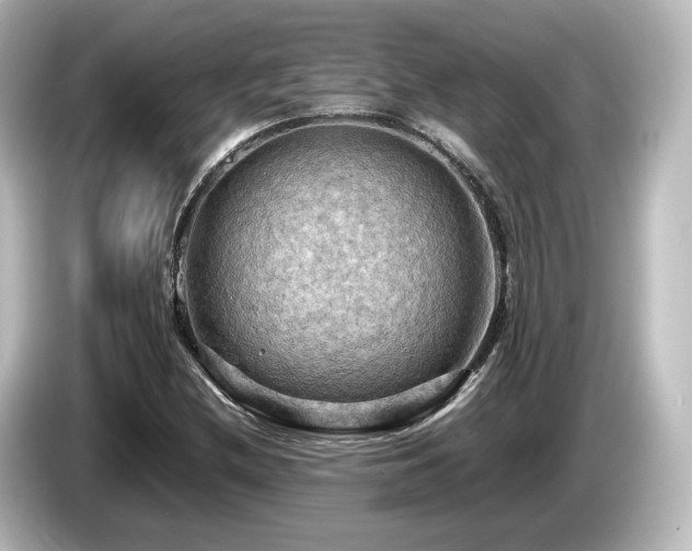 X0000085741212200703161020