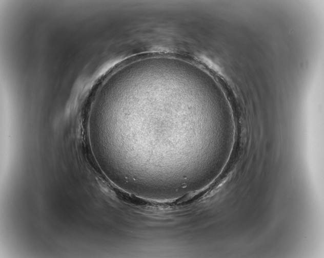 X0000085741215200703161020