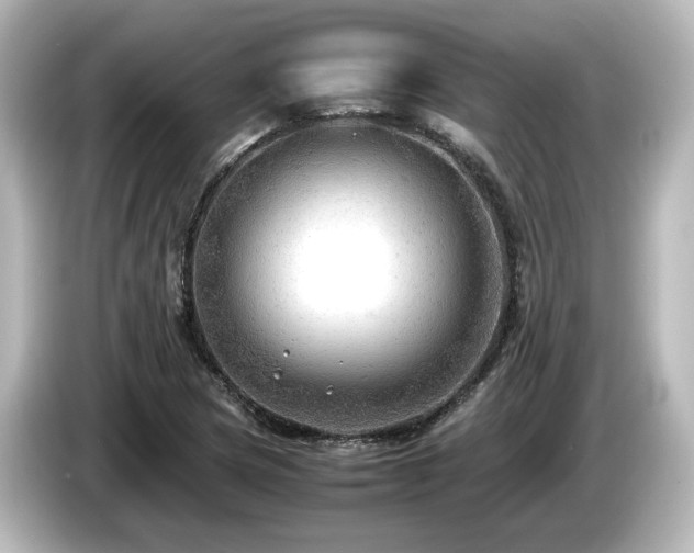 X0000085741217200703161020