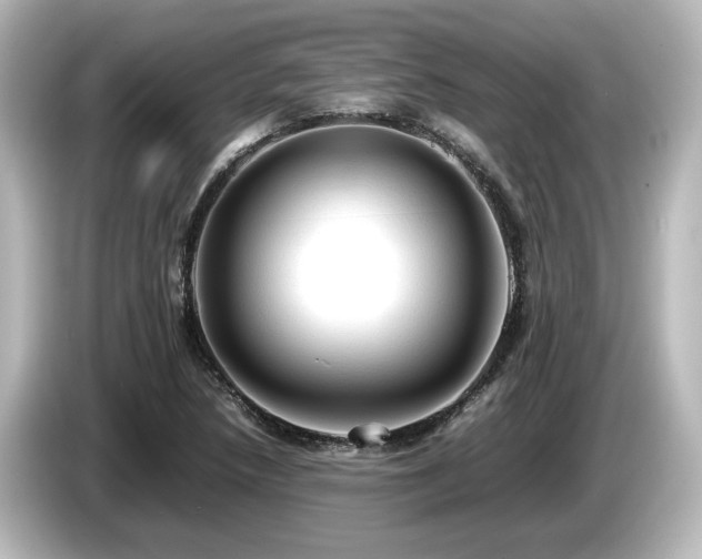 X0000085741218200703161020