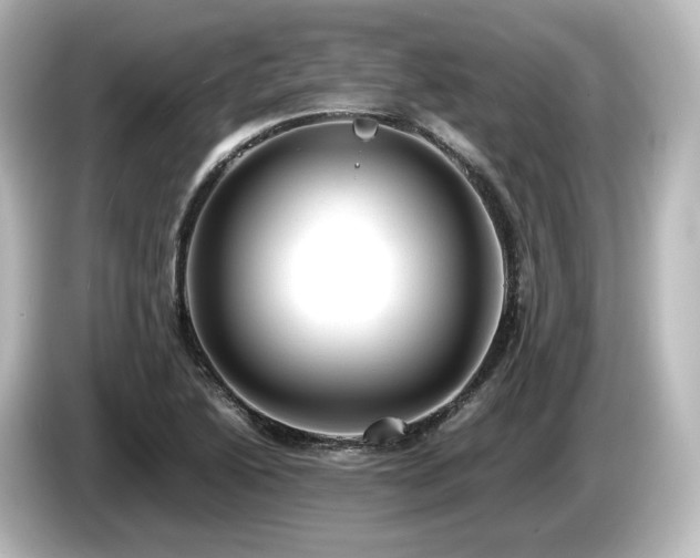 X0000085741222200703161020