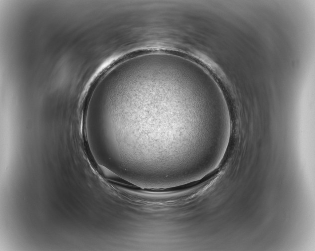 X0000085741224200703161020