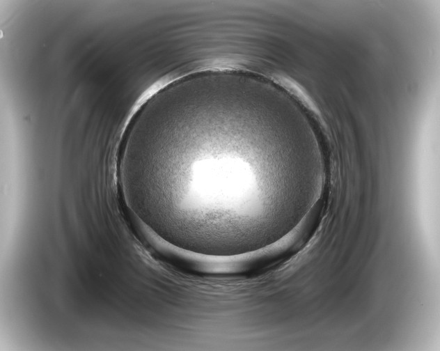 X0000085741226200703161020