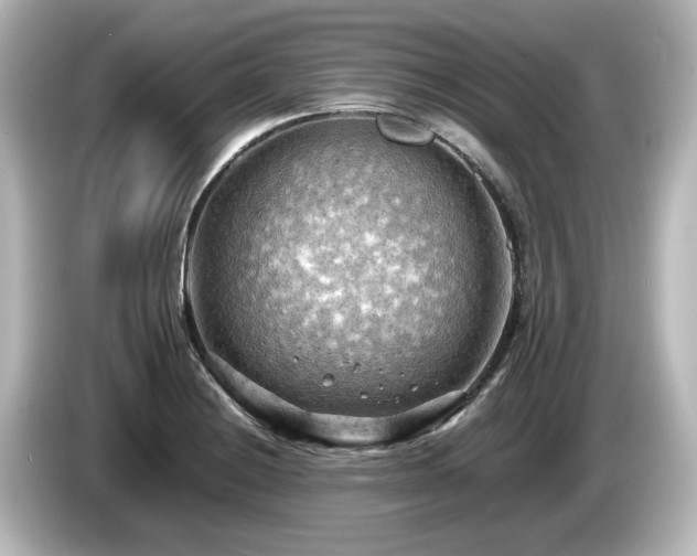 X0000085741228200703161020