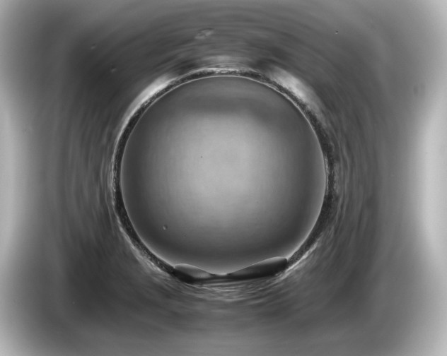 X0000085741229200703161020