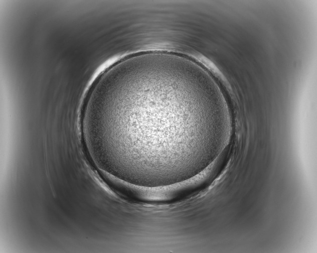 X0000085741230200703161020