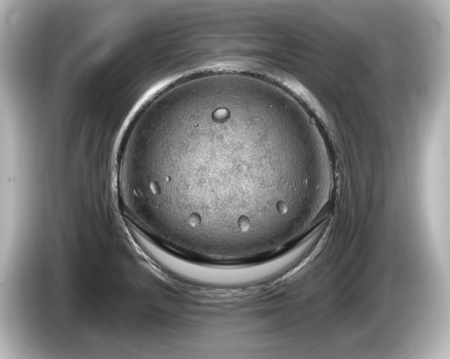 X0000085741232200703161020