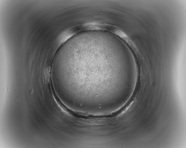 X0000085741233200703161020