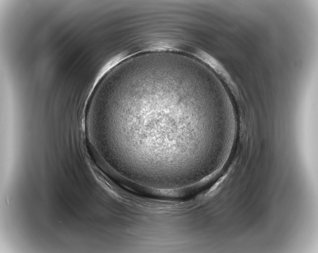 X0000085741234200703161020