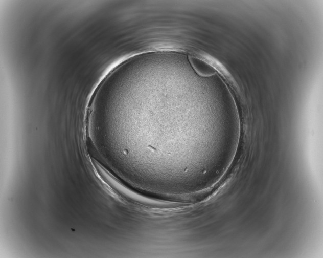 X0000085741236200703161020