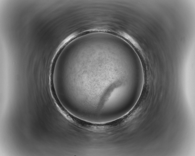 X0000085741237200703161021