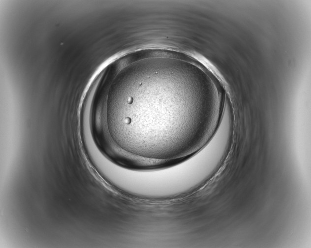 X0000085741238200703161021