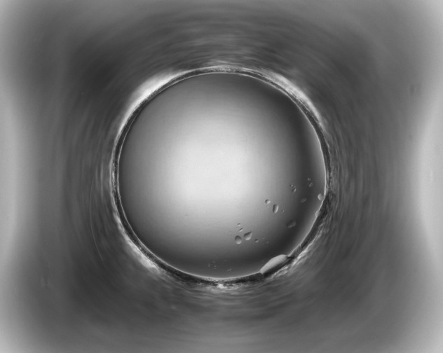 X0000085741239200703161021
