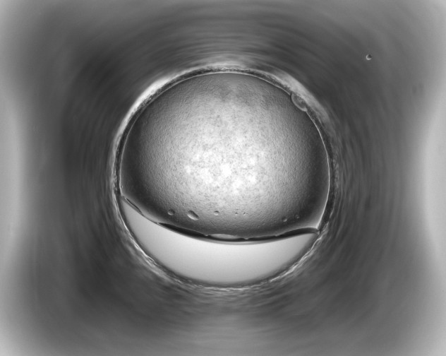 X0000085741240200703161021