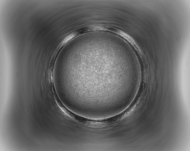 X0000085741241200703161021