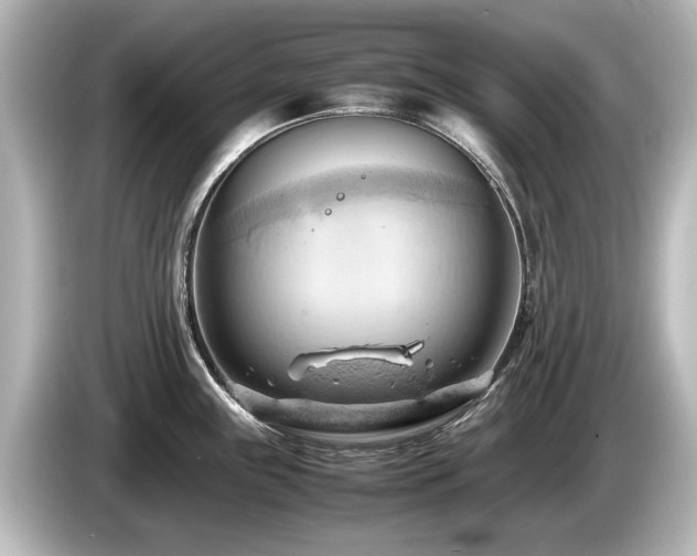 X0000085741243200703161021