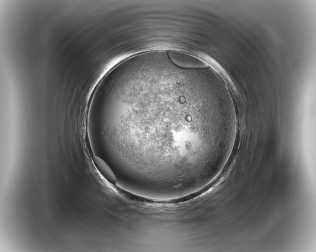 X0000085741244200703161021