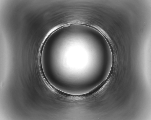 X0000085741246200703161021